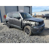 2021 JEEP RENEGADE ZACNJDBB2MPM70326 53704475