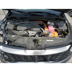 2025 KIA SPORTAGE KNDPXCDG9S7181676 54933835