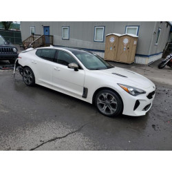2020 KIA STINGER KNAE15LA7L6081064 59299905
