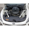 2020 KIA STINGER KNAE15LA7L6081064 59299905