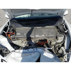 2023 TESLA MODEL Y 7SAYGDEE2PA184427 57075355
