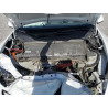 2023 TESLA MODEL Y 7SAYGDEE2PA184427 57075355