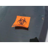 2024 HYUNDAI ELANTRA KMHLS4DG6RU646893 60339635