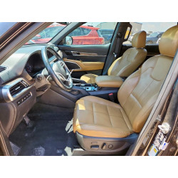 2021 KIA TELLURIDE 5XYP54HC7MG137393 63967795
