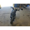 2024 OTHER MOTORCYCLE WOLFPUP L5YTCKPV7R1107760 66216135