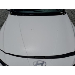 2024 HYUNDAI ELANTRA KMHLM4DG6RU663994 60549135