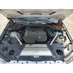 2023 BMW X3 5UX53DP04P9P65615 68288995