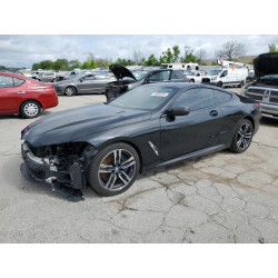 2020 BMW 8 SERIES WBAAE4C04LBP64027 54500315