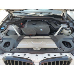 2021 BMW X4 5UX2V1C06M9F24431 66877585