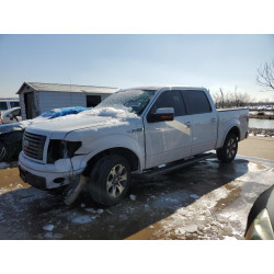 2010 FORD F-150