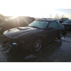 1999 FORD MUSTANG