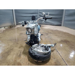 2024 HARLEY-DAVIDSON FLFBS 1HD1YGK17RB055380 64566795