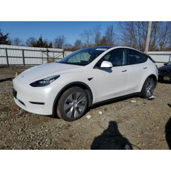 2022 TESLA MODEL Y 7SAYGDEE8NF422717 49764955