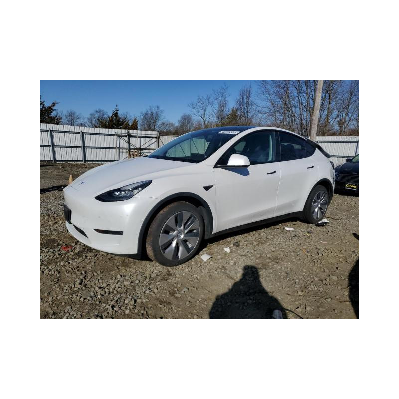 2022 TESLA MODEL Y 7SAYGDEE8NF422717 49764955