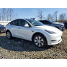 2022 TESLA MODEL Y 7SAYGDEE8NF422717 49764955