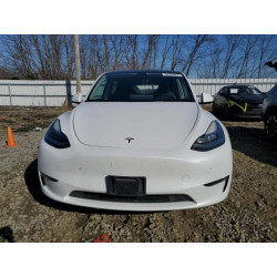 2022 TESLA MODEL Y 7SAYGDEE8NF422717 49764955