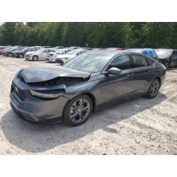 2023 HONDA ACCORD 1HGCY2F69PA001019 69802335