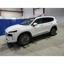 2023 HYUNDAI SANTA FE KM8S7DA24PU100466 84175195