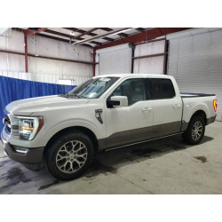 2023 FORD F-150 1FTEW1C88PFC07917 84175365