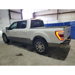 2023 FORD F-150 1FTEW1C88PFC07917 84175365