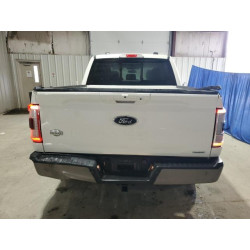 2023 FORD F-150 1FTEW1C88PFC07917 84175365