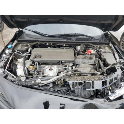 2025 HONDA CIVIC 2HGFE2F53SH527010 67361465