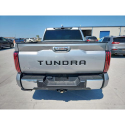 2024 TOYOTA TUNDRA 5TFMA5DB3RX216629 67256815