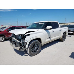 2022 TOYOTA TUNDRA 5TFLA5DB1NX055302 69240675