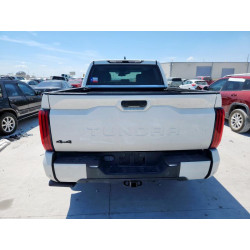 2022 TOYOTA TUNDRA 5TFLA5DB1NX055302 69240675