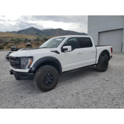 2023 FORD F150 1FTFW1RJ5PFC51310 63274575