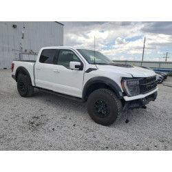 2023 FORD F150 1FTFW1RJ5PFC51310 63274575