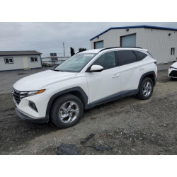 2024 HYUNDAI TUCSON 5NMJBCDE6RH398155 81000545