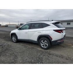 2024 HYUNDAI TUCSON 5NMJBCDE6RH398155 81000545