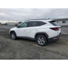 2024 HYUNDAI TUCSON 5NMJBCDE6RH398155 81000545