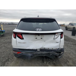 2024 HYUNDAI TUCSON 5NMJBCDE6RH398155 81000545