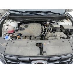 2024 HYUNDAI TUCSON 5NMJBCDE6RH398155 81000545