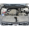 2024 HYUNDAI TUCSON 5NMJBCDE6RH398155 81000545