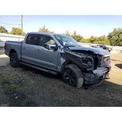 2023 FORD F150 LIGHT 1FT6W1EV1PWG08782 80059795
