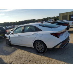 2024 HYUNDAI ELANTRA KMHLM4DG6RU663865 71892265
