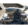 2024 HYUNDAI ELANTRA KMHLM4DG6RU663865 71892265