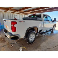 2022 CHEVROLET ALL Models 1GC5YNE78NF324934 81501405