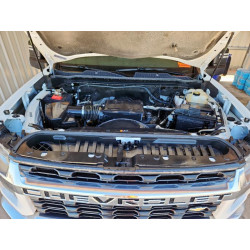 2022 CHEVROLET ALL Models 1GC5YNE78NF324934 81501405