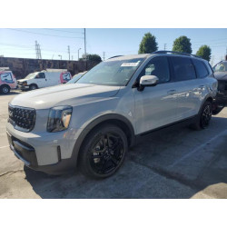 2024 KIA TELLURIDE 5XYP3DGC5RG454118 69256125