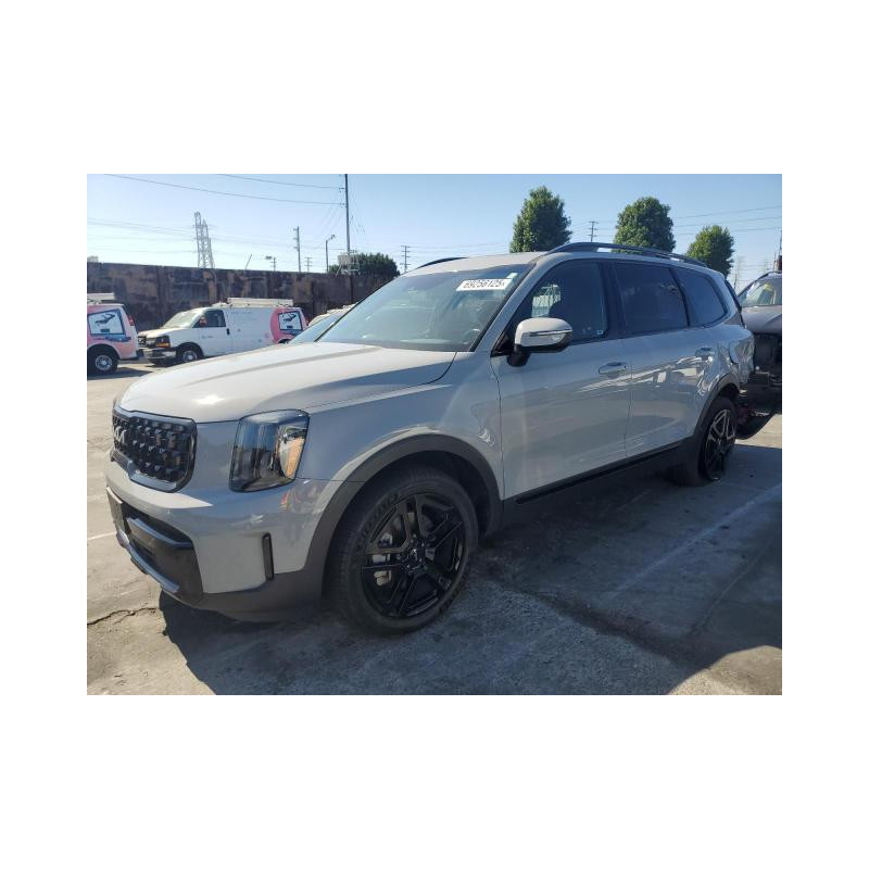 2024 KIA TELLURIDE 5XYP3DGC5RG454118 69256125 2024 KIA TELLURIDE 5XYP3DGC5RG454118 69256125