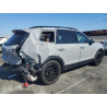 2024 KIA TELLURIDE 5XYP3DGC5RG454118 69256125