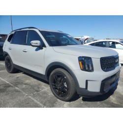 2024 KIA TELLURIDE 5XYP3DGC5RG454118 69256125