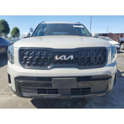 2024 KIA TELLURIDE 5XYP3DGC5RG454118 69256125