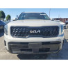 2024 KIA TELLURIDE 5XYP3DGC5RG454118 69256125