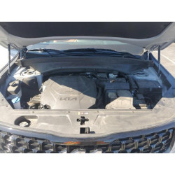 2024 KIA TELLURIDE 5XYP3DGC5RG454118 69256125