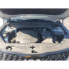 2024 KIA TELLURIDE 5XYP3DGC5RG454118 69256125